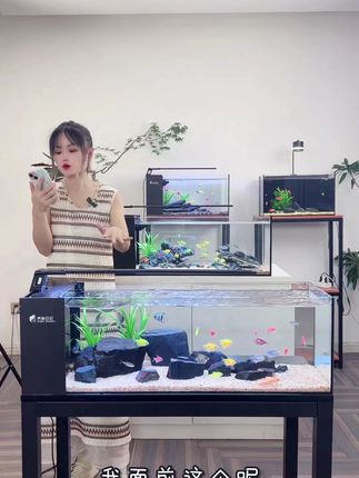 桌面溪流造景景观缸,一套带回家 你也想拥有一款这样的溪流鱼缸吗? 0#养鱼日记#桌面鱼缸#鱼缸里的大自然