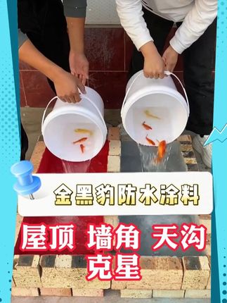 新型防水涂料,开盖即涂,自己动手就能补漏! #防水补漏 #屋顶漏水 #新型防水