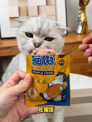 4.4万挑嘴猫认证的好猫饭,如果您家猫咪也挑食,可以试试澳贝迪这款猫饭哦~#澳贝迪 #猫饭 #猫粮 #猫咪