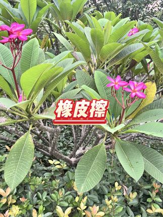 刻字推拉橡皮擦 #可替换芯 #干净不留痕 #学生文具