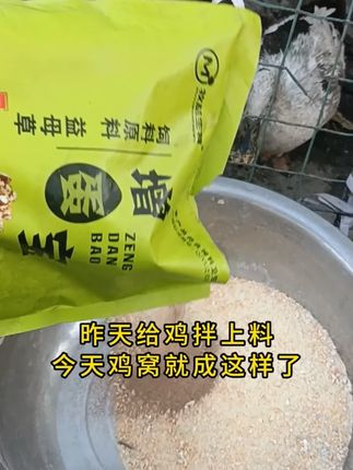 增蛋宝蛋禽饲料添加剂蛋多多催蛋多下蛋延长产蛋期鸡鸭鹅鹌鹑通用#干货分享#好物推荐#家用好物 #自用好物#推荐购买