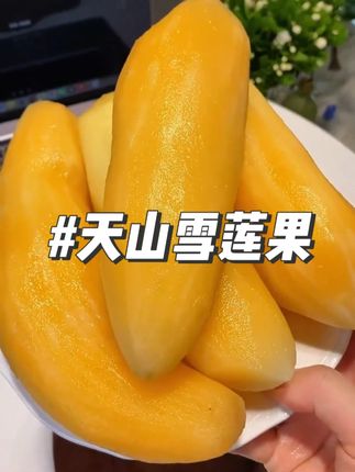 这个比苹果还脆比西瓜还甜的雪莲果,吃一次我就爱上了真的好吃又健康,没吃过的一定要尝尝 #水果 #快来一起尝个鲜 #雪莲果 #应季水果 #优质水果