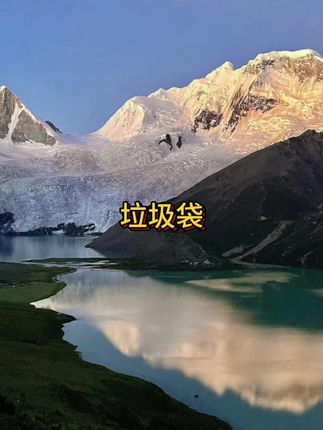 我也不想买啊!可它这个价到手4大卷!还是免手撕的用一个抽一个像抽纸一样简单!质量更是好到没话说!巨结实耐造!新品尝鲜刷到快薅!#垃圾袋 #免撕垃圾袋 #加大加厚垃圾袋 #结实耐造