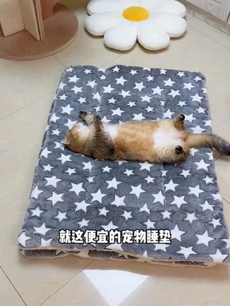 宠物垫子狗狗垫子猫咪睡觉垫子双面秋冬季加厚保暖床垫宠物窝笼垫 #宠物垫子 #狗狗垫子 #宠物床垫 #猫咪睡觉垫 #猫咪垫子