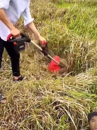 充电式电动无刷锂电高枝修剪机适用于割草开荒草坪作业 充电式电动无刷锂电高枝修剪机适用于割草开荒草坪作业