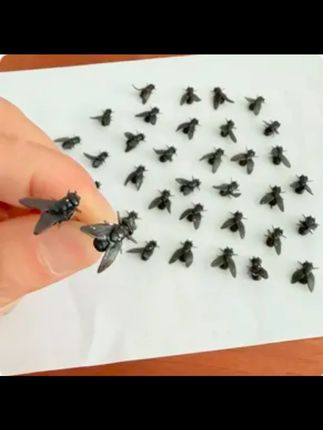 仿真苍蝇耳钉个性潮流卡通时尚小众设计昆虫耳环耳饰