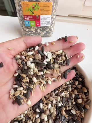 五合一混合鹦鹉鸟粮小太阳和尚金太阳凯克中大型带壳种子饲料鸟食#鹦鹉鸟粮 #五合一鸟粮 #带壳种子 #鸟食 #宠物饲料