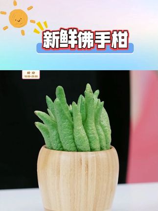 新鲜佛手柑 #新鲜佛手柑 #天然清香香薰 #绿植推荐 #佛手柑推荐 #超级好闻