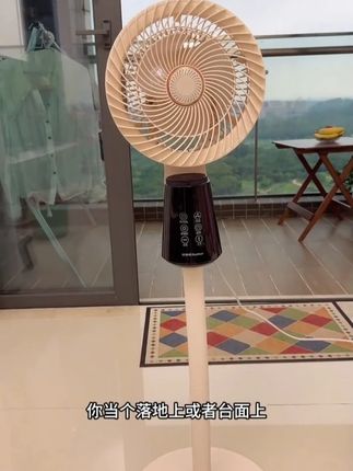 #电风扇