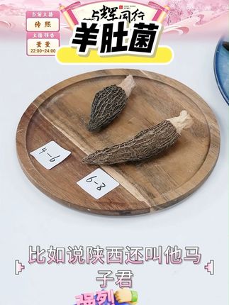 【精品头茬5-7CM】高山头茬羊肚菌干货 肉质肥厚 煲汤佳品 #煲汤佳品 #肉质肥厚 #羊肚菌 #头茬羊肚菌 #干货