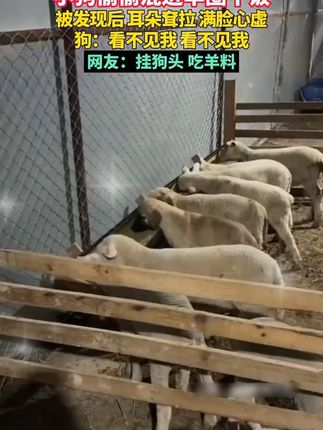 #穿搭 #显瘦穿搭 #小个子穿搭 #裤子 (25cdhy
