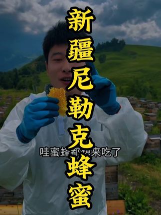 你吃过来自新疆尼勒克的黑蜂雪蜜吗? #蜂蜜 #蜜 #新疆蜂蜜