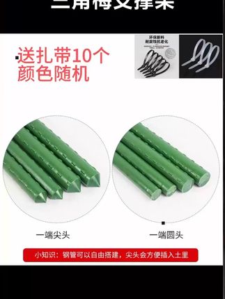 三角梅支撑架爬藤架葡萄架黄瓜豆角番茄支架植物花卉支撑杆瓜架固定杆包塑钢管 #三角梅支撑杆 #支撑杆 #支撑架 #园艺支撑杆 #自用好物分享