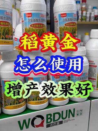 水稻增产叶面肥稻黄金怎么使用产量高?#稻黄金 #水稻增产 #水稻高产 #水稻种植 #水稻叶面肥