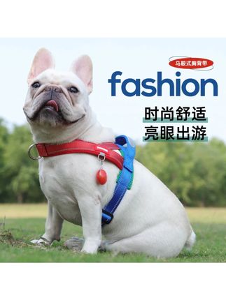 马鞍式胸背带狗狗牵引绳中小型犬柴犬法斗专用泰迪可调节遛狗绳子 #马鞍式胸背带 #中小型犬专用牵引 #柴犬法斗泰迪适用 #可调节遛狗绳 #狗狗牵引绳