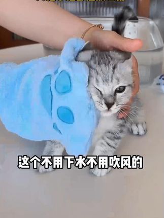【擦浴精华】宠物免洗精华除臭抑菌保湿猫咪狗狗清洁洗澡必备用品 #萌宠好物 #猫咪洗澡 #养猫经验分享