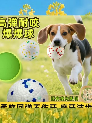 狗狗玩具球边牧解闷橡胶球爆米花耐咬磨牙etpu高弹力静音球逗狗 #趣味养宠 #萌宠日记 #萌宠好物