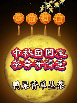 中秋团圆夜,茶香寄情意 。月光下,一杯鸭屎香单丛,香气满室,温情满溢,精选高山原料,耐泡醇和,礼盒典雅大气,支持礼盒定制#中秋送礼  #茶叶礼盒  #凤凰单丛  #鸭屎香  #茶生活