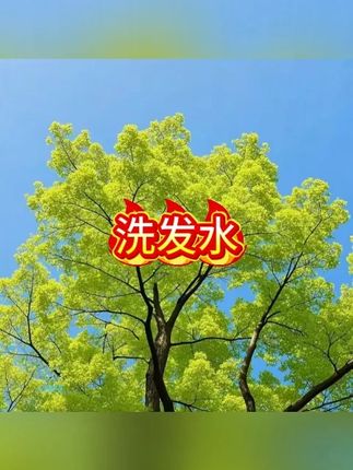 青少年洗发水12-18岁青春期适用洗头膏露#青少年洗发水 #洗发水 #洗发水推荐 #洗发水种草 #洗发露