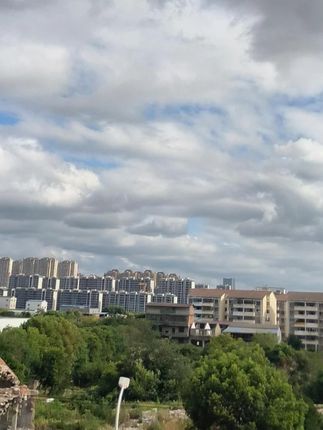 小红书推荐西泠松舍洗发水护发素香味留香顺滑去屑控油护发洗发水