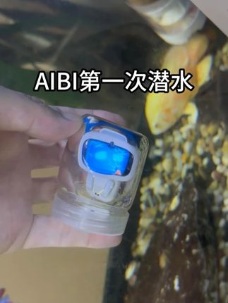 AIBI机器人第一次下水 #AI宠物 #AIBI机器人 #智能机器人 #机器人 #萌宠