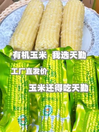 【有机玉米选天勤 粒粒洁净更安心】 最后和你们说一遍,源头厂家的直发价!#有机玉米 #糯玉米 #软糯香甜 dx