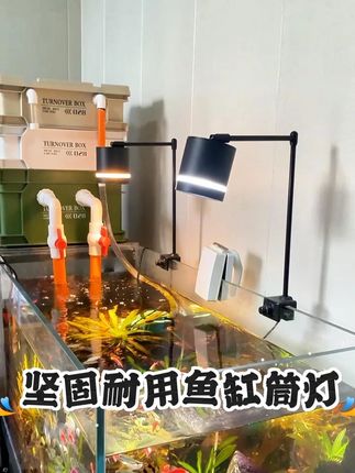 让每个人都能拥有便宜而且显色效果还好的鱼缸灯,优质鱼缸筒灯#鱼缸灯 #溪流缸鱼缸灯 #溪流缸 #鱼缸里的大自然