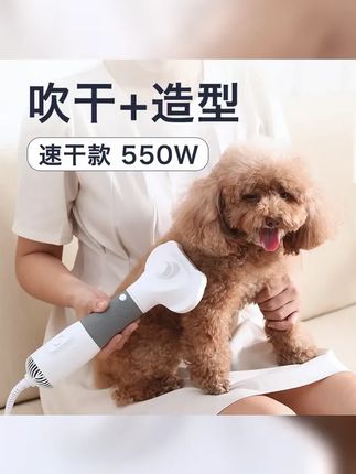 宠佰嘉宠物吹风机狗狗吹风拉毛一体机大功率速干猫咪洗澡梳毛神器 #宠佰嘉 #宠物吹水机 #吹风拉毛一体机 #狗狗洗澡吹风机 #萌宠好物