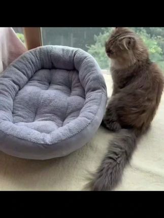 #猫窝 四季通用狗窝猫窝凉席窝宠物窝狗窝垫子猫窝泰迪大中小型犬宠物窝#四季通用宠物窝 #凉席猫窝 #大中小型犬宠物窝 #四季通用狗窝垫子