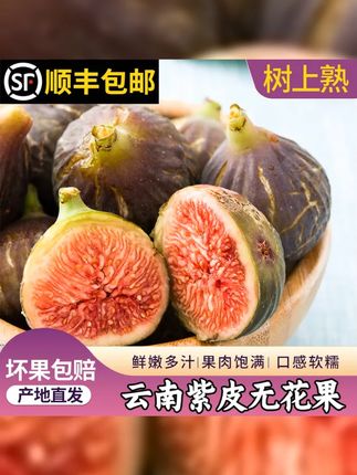 【顺丰空运】云南树熟红皮无花果新鲜水果特大果当季爆甜现摘现发