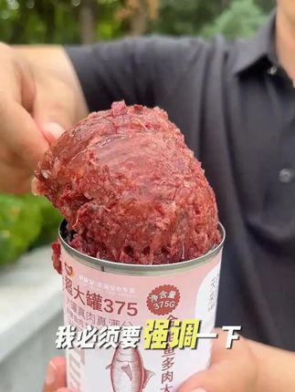 初贝宠金枪鱼375g大肉块猫罐头营养长肉猫狗通用无谷猫咪零食罐头 #dou上热门🔥# 猫饭门 #解馋