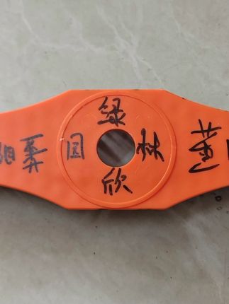 董盼盼款 高品质打草机清洗刷 通用 清洗地面 行道 桌椅 毛毯#打草机清洗刷 #高品质 #通用清洁 #董盼盼款 #清洁工具