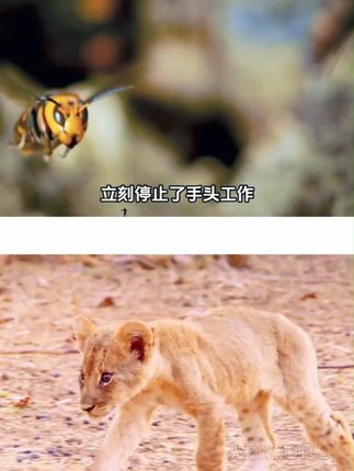 #捻蒜盒