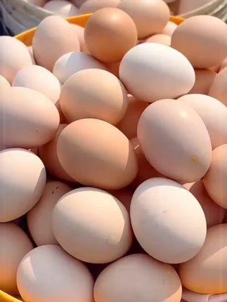 土鸡蛋 # 农家散养土鸡蛋 # 好吃又营养 # 鸡蛋 # 优质农产品