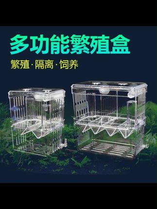鱼缸隔离盒孔雀鱼繁殖盒气动小鱼孵化盒大小号幼鱼孵化器产卵房 #孔雀鱼繁殖 #隔离盒养鱼 #隔离盒繁殖 #胎生鱼 #繁殖盒