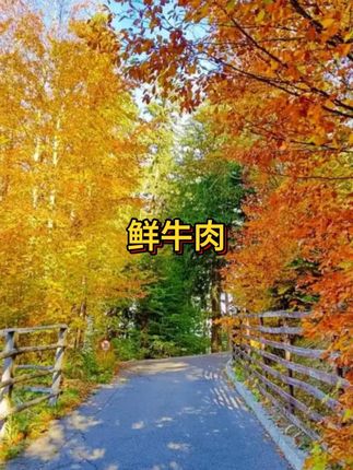 老乡们,现在牛腱肉非常的划算,到手6袋,一共一斤六两二,袋袋拉丝,有筋有肉,赶紧去拍#牛腱肉 #牛肉 #清真 #抖音美食推荐官