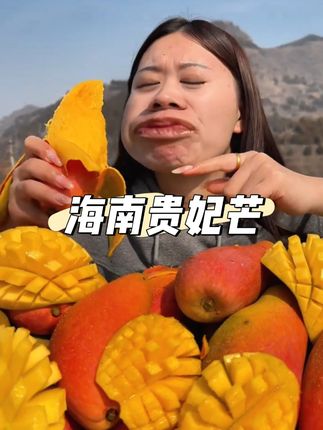 海南三亚树上自然熟贵妃芒,汁多味甜 果香浓郁 新鲜果园现摘现发 #贵妃芒 #芒果 #现摘现发新鲜到家 #新鲜采摘 #新鲜应季水果