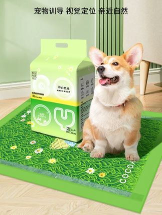 Cocoyo宠物尿垫加厚吸水除臭狗狗尿垫草地尿垫狗尿垫狗用隔尿垫#狗狗尿垫 #狗狗尿垫推荐 #宠物尿垫 #宠物尿垫推荐 #尿垫狗狗