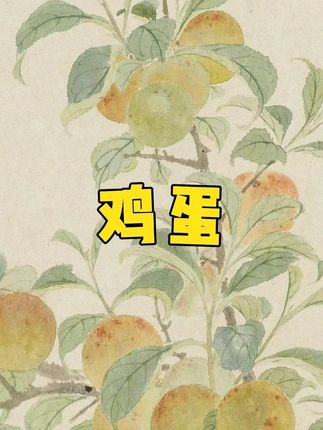 农家散养土鸡蛋,喜欢的下单!#无限回购的宝藏单品
