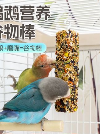 自从鸟笼里挂上了这个 #零食棒 ,小鸟的嘴就没停下过 #养鸟 @抖音小助手