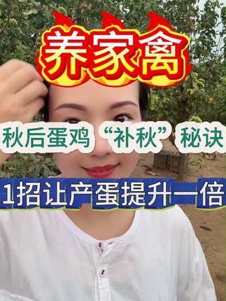 一招让蛋鸡产蛋提升一倍 #养鸡 #养殖 #鸡鸭鹅养殖 #三农
