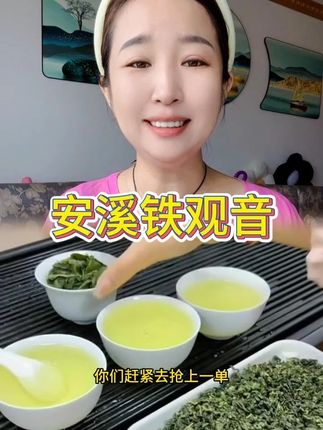 安溪铁观音茶 安溪铁观音茶