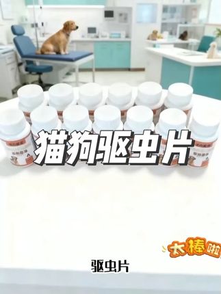 猫狗驱虫片内外驱虫 喂狗一片猫狗崇净,内外寄生虫全不见#猫狗崇净驱虫 #猫狗驱虫 #猫驱虫 #狗驱虫 #新手养宠指南