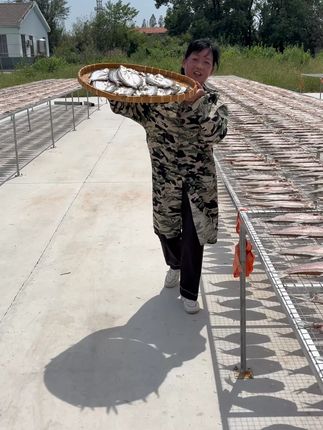 老乡们 回来吃鱼咯 #阳干大白刁