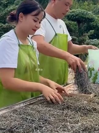 秋季就要多吃海带丝,霞浦日晒海带丝,出口级好品质