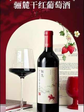 熬不住了,就喝点🍷 #喝酒 #夏季穿搭 #红酒 #微醺时刻 #小酒馆 ,都是成年人,所有情绪都是静音。
