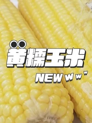 东北头茬黄糯玉米新鲜铝箔包装香甜软糯 #吃货必备 #粗粮 #黄糯玉米 #糯玉米 #玉米