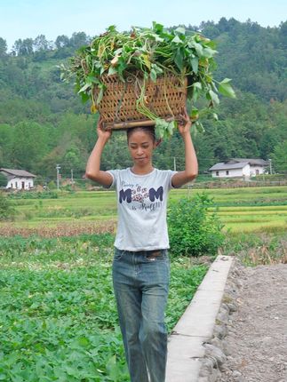 农村媳妇菲利丝