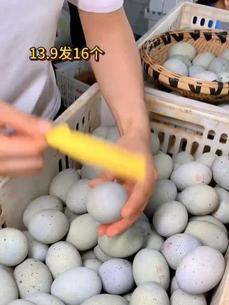 无铅松花溏心皮蛋,爆浆流心品质好,鲜嫩好吃!#皮蛋 #松花皮蛋 #溏心皮蛋 #快来一起尝个鲜 #超便宜超划算