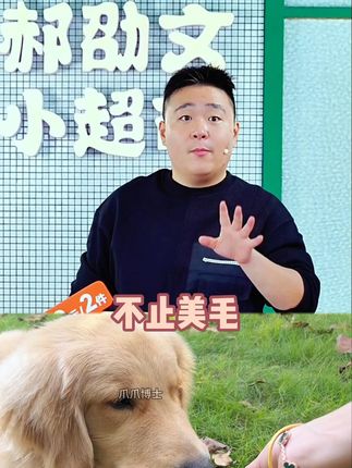 狗狗会快速掉毛怎么办? 郝劭文告诉你可以吃鱼油#宠物鱼油片#狗狗鱼油#郝劭文推荐
